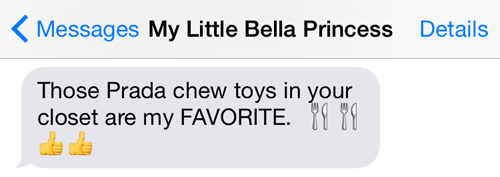 Text From Pet