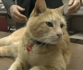 Simba spends his days at a Maine high school.
