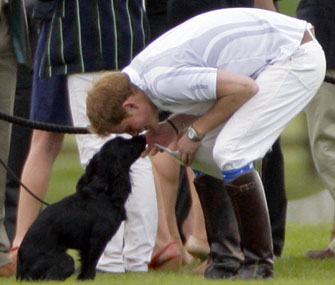 Lupo with Prince Harry