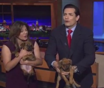 Thistle the puppy had a little accident when KENS 5 anchor Mat Garcia was holding him on live TV.