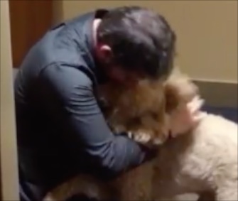 A happy reunion between Goldendoodle Kramer and his owner was caught on video this week.