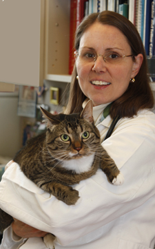 Dr. Ann Hohenhaus