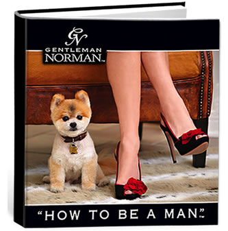 Gentleman Norman