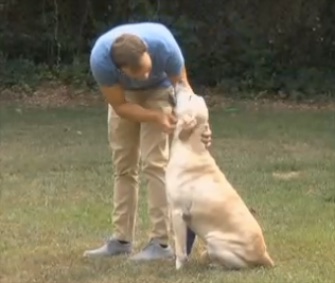 Marine Lance Corporal Andrew Harmon has been happily reunited with his K9 partner, Rebel.