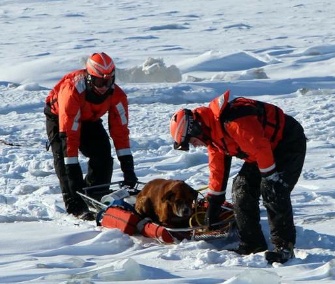 Coast Guard officers rescued a lost dog stranded on Michigan's frozen Lake St. Clair on Monday.