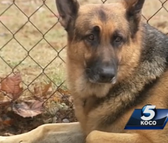 Jax went through training with the police but didn't become an officer because of a fear of thunder.