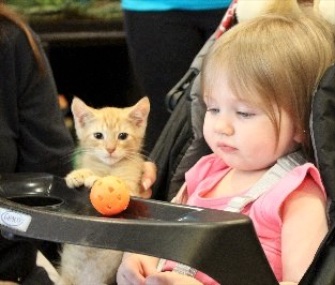 The kitten saved from a pickup truck's engine after a 28-mile ride got a new home Sunday.