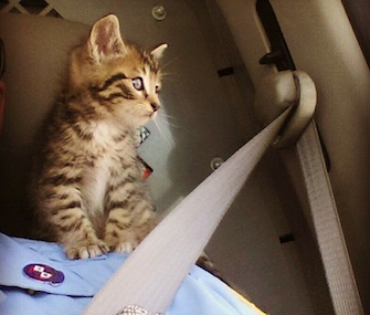 Eddie was named after a police officer who saved him from an Ocean City bridge.