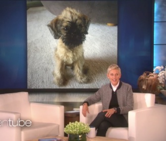 Ellen DeGeneres introduced her fans to her new "Kid," a 9-week-old puppy.