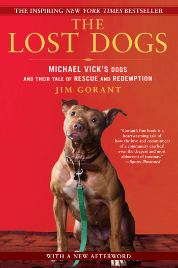 Lost Dogs Book Cover