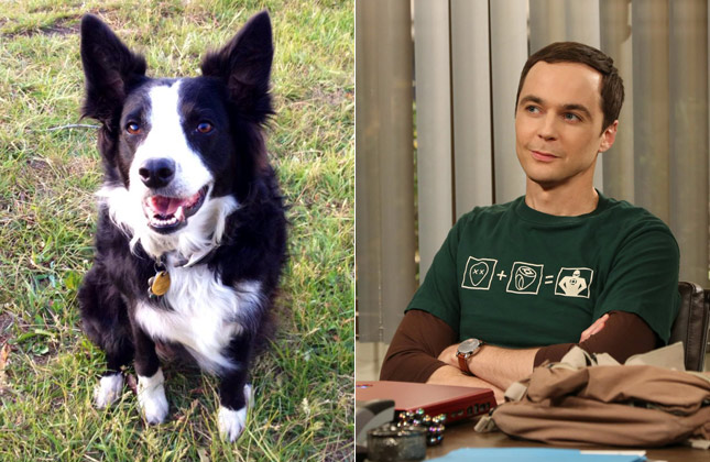 Big Bang Theory