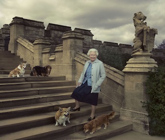 Holly, front left, posed with Queen Elizabeth and her three other dogs for her 90th birthday.