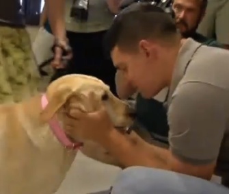 Donna, a military bomb-sniffing dog, was reunited with her handler in Houston Saturday.