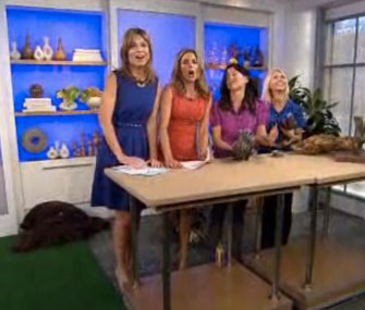 An owl takes flight on the set of the Today show.
