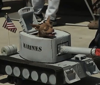 Chihuahua driving a tank