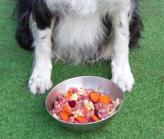 barf diet for small dogs