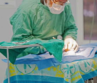 Vet performing surgery