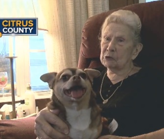 Sassy is happily back in her owner's lap after barking to get her help when she fell.