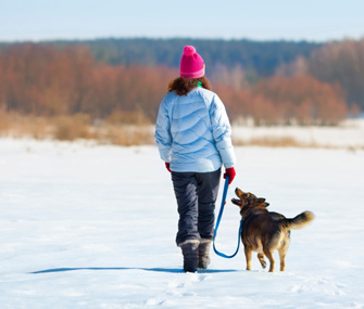 Walking Dog in the Winter