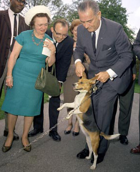 LBJ Him Dog