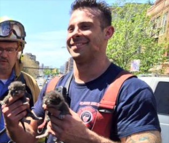 FDNY Firefighter Vincent Martinelli holds two of the four kittens he saved from a Bronx apartment fire.