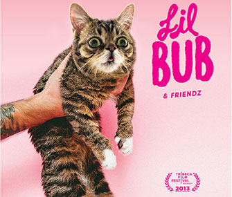 "Lil Bub and Friendz" will premiere at the Tribeca Film Festival.