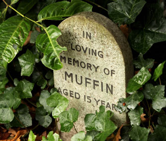 Pet gravestone