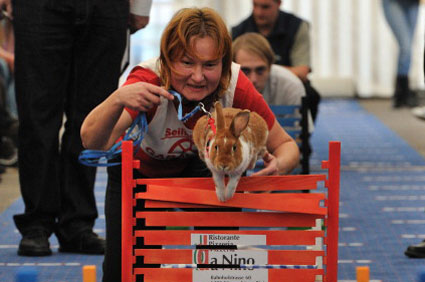 European rabbit hopping championship