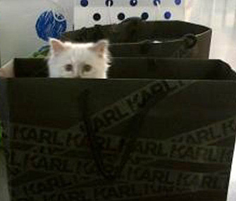 Choupette Lagerfeld