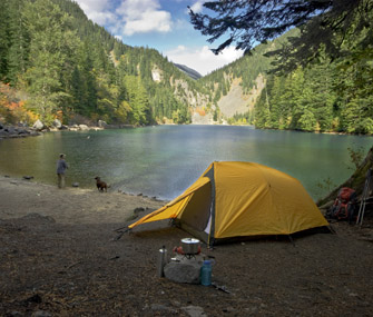 Camping With Dog