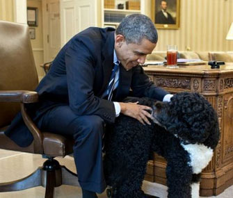 Bo Obama visits President Barack Obama in the Oval Office.