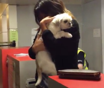 Jessica Urbina was reunited with Bam Bam at the Dallas airport this week.