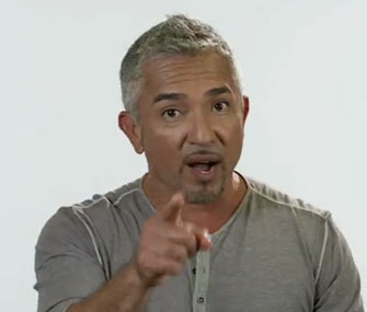 Dog Whisperer Cesar Millan announced this week that the final season of his controversial show will premiere in July.