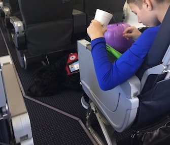 Chug sits at Bryant Weasel's feet before they were asked to get off an American Airlines flight on Thanksgiving Day.