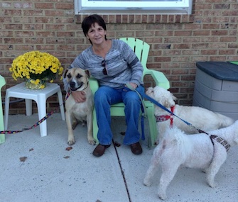 Butchie, left, was rescued by Kim Shaneybrook. He joins her two other dogs at home.