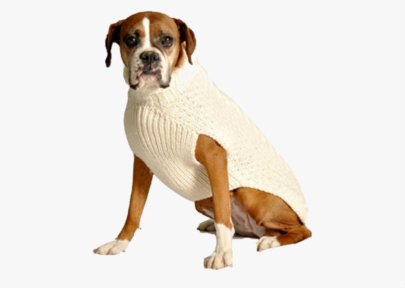 baxterboo dog sweaters