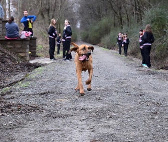 This happy hound crashed a half marathon in Alabama and came in 7th place.