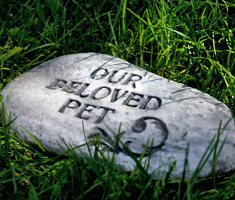 Deceased pet headstone