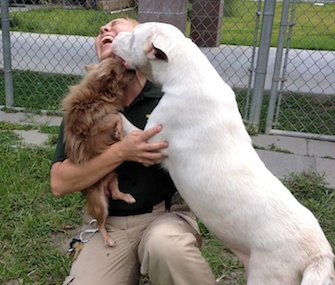 Joanie and Chachi give Animal Control Officer Christina Sutherin love after hearing about their new home.