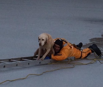 Tucker was reunited with his family after being found shivering in an icy pond.