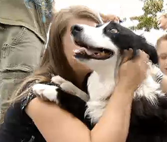 Sara, a Border Collie mix, is reunited with her family after three years.
