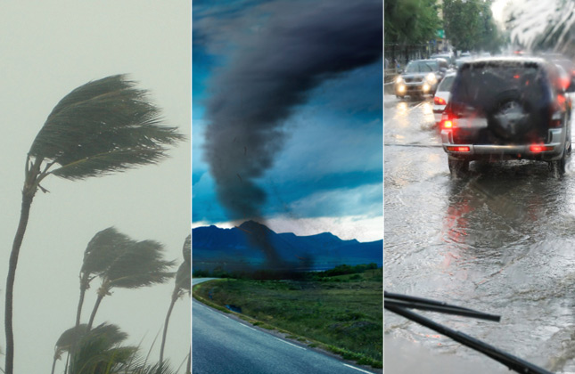 Natural Disasters and Pets