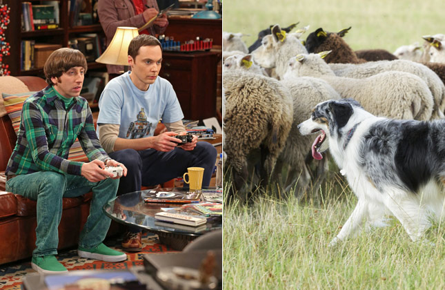 Big Bang Theory
