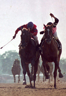 Affirmed and Alydar