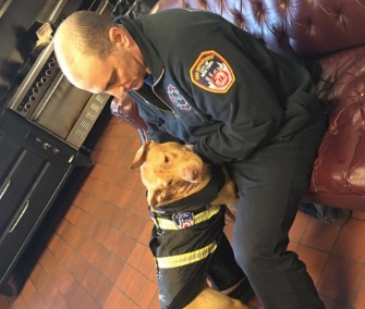 An FDNY station has adopted an abandoned dog named Ashley.