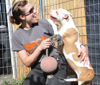 volunteer playing with dog