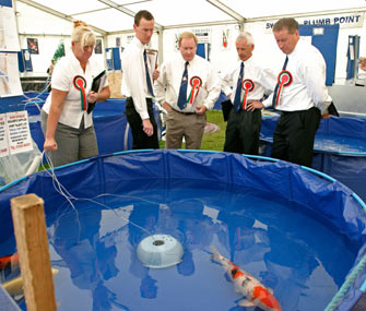 Koi Show Judges