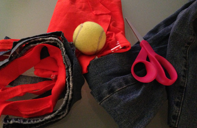 Homemade ball toy