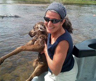 Baby moose reunited with mother