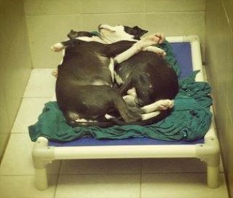 Jermaine, who helps his blind brother Jeffrey get around, naps with him a Philadelphia shelter.